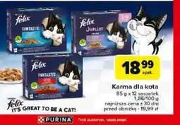 Carrefour Karma dla kota Felix oferta