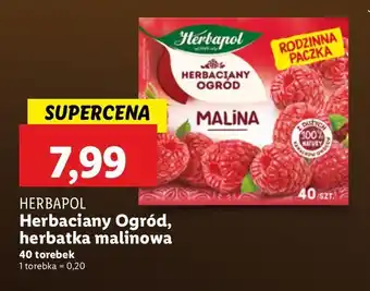 Lidl Herbata malina Herbapol Herbaciany Ogród oferta