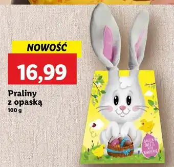 Lidl Praliny z opaską oferta