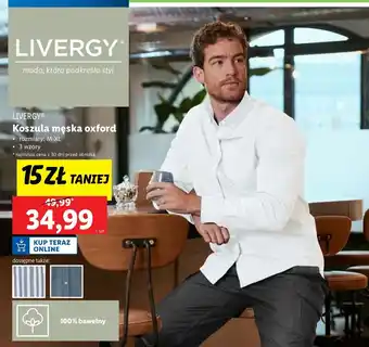 Lidl Koszula męska oxford m-xl Livergy oferta