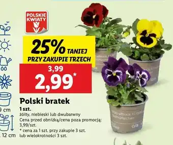 Lidl Bratek don. 12 cm oferta