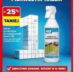 Carrefour Srodek do usuwania pleśni HG oferta