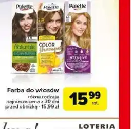 Carrefour Farba do włosów Palette oferta