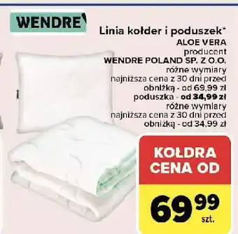 Carrefour Poduszka aloe vera 40 x cm Wendre oferta