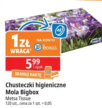 E.Leclerc Chusteczki higieniczne Mola oferta