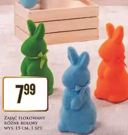 Dino Zając flokowany oferta