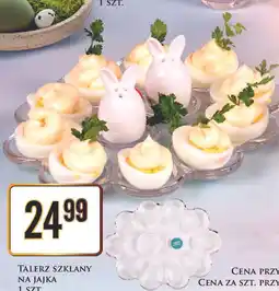 Dino Talerz na jajka oferta