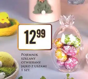 Dino Pojemnik jajko z uszami oferta