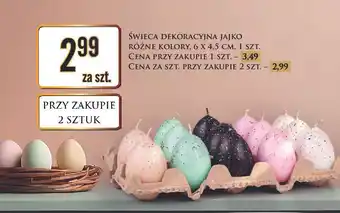 Dino Świeca jajko oferta