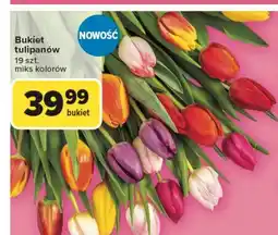 Carrefour Tulipany bukiet oferta