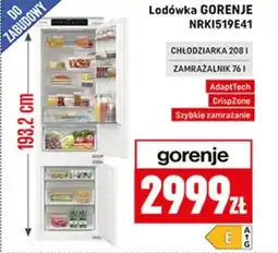 Neopunkt Lodówka Gorenje oferta