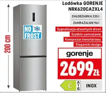 Neopunkt Lodówka Gorenje oferta