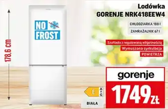 Neopunkt Lodówka Gorenje oferta