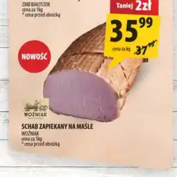 Arhelan Schab Woźniak oferta