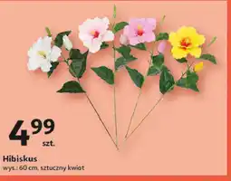 Auchan Hibiskus oferta