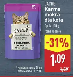 ALDI CACHET Karma mokra dla kota oferta