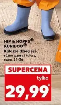 Kaufland Kalosze dziecięce rozm. 24-31 Kuniboo oferta