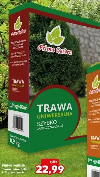 Kaufland Trawa uniwersalna Prima Garden oferta