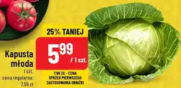 Polomarket Kapusta młoda oferta