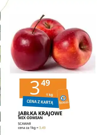 E.Leclerc Jabłka polskie oferta