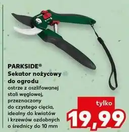 Kaufland Sekator ogrodowy nożycowy Parkside oferta