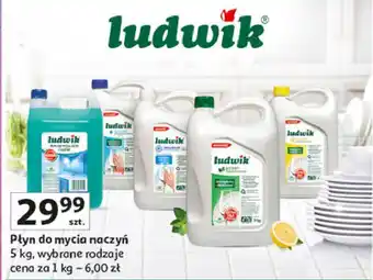 Auchan Płyn do mycia naczyń balsam Ludwik oferta