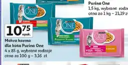 Auchan Karma dla kota junior z kurczakiem i marchewką Purina One oferta