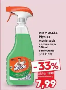 Kaufland Płyn do szyb zielony Mr Muscle oferta