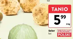 Intermarche Seler korzeń polska oferta