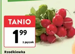 Intermarche Rzodkiewka oferta