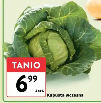 Intermarche Kapusta wczesna oferta