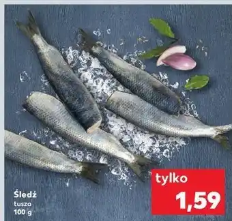 Kaufland Śledz tusza oferta