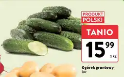 Intermarche Ogórek gruntowy polska oferta