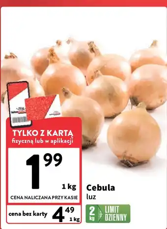 Intermarche Cebula oferta