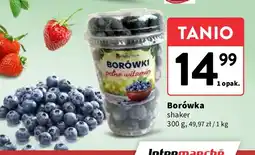 Intermarche Borówki amerykańskie shaker Berrytrade oferta