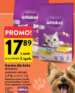 Intermarche Karma dla kota z kurczakiem Whiskas Junior oferta