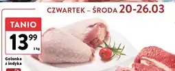 Intermarche Golonka z indyka oferta