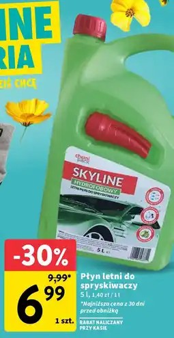 Intermarche Płyn do spryskiwaczy letni skyline Chemi Pack oferta