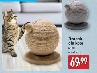 ALDI Drapak dla kota oferta