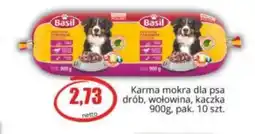 Specjał Karma dla psa Basil oferta