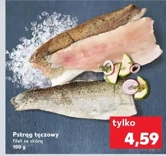 Kaufland Pstrąg tęczowy oferta