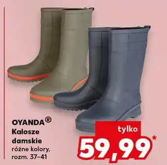 Kaufland Kalosze Oyanda oferta