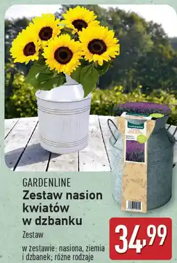 ALDI GARDENLINE Zestaw nasion kwiatów w dzbanku oferta