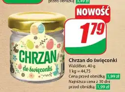 Dino Chrzan do święconki Waldiben oferta