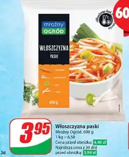 Dino Włoszczyzna Mroźny Ogród oferta