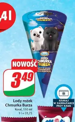 Dino Rożek chmurka burza Koral oferta