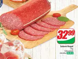 Dino Salami rogal Agro Rydzyna oferta