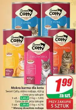 Dino Karma dla kota z wołowiną Sweet Catty oferta