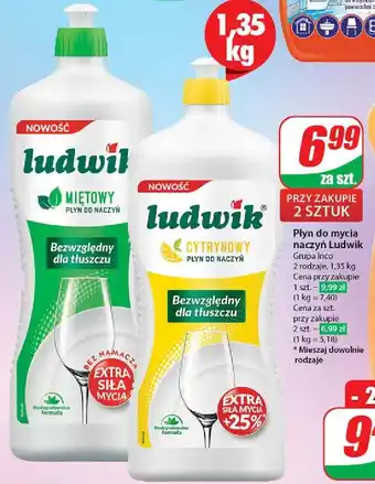 Dino Płyn do mycia naczyń cytrynowy Ludwik oferta