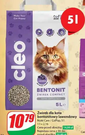 Dino Żwirek bentonitowy Cleo oferta